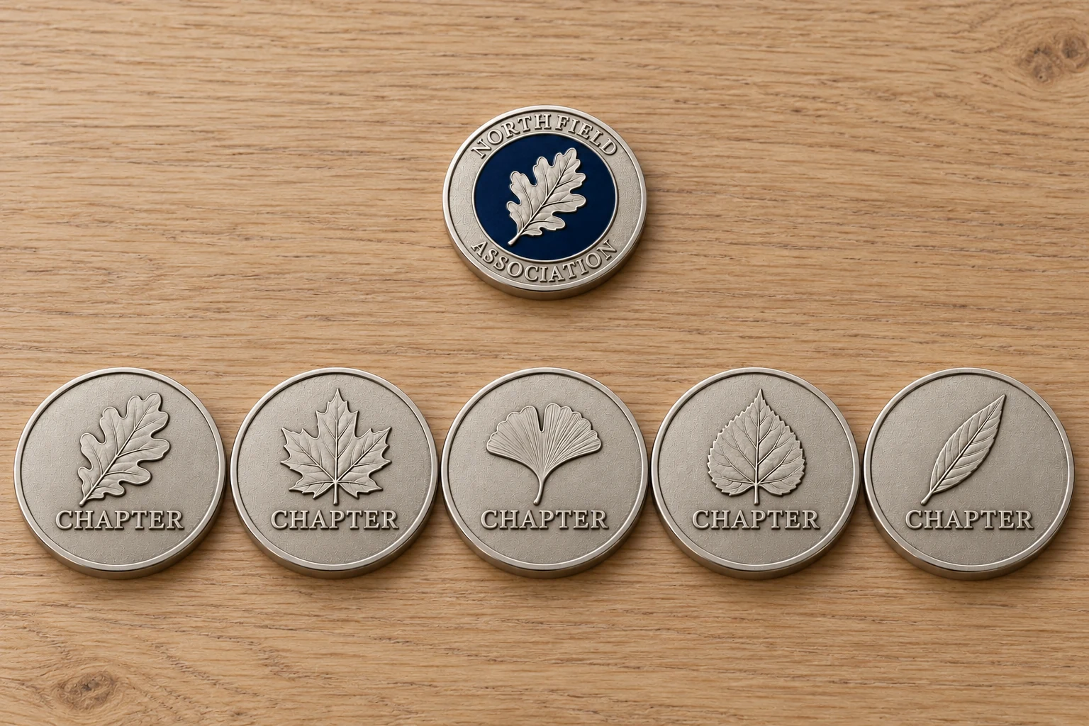 Six concept coin samples showing one shared front and five different chapter reverse designs
